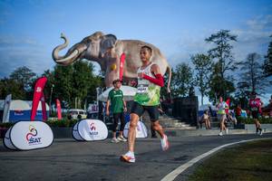 BIB: 
                            <button type="button" onclick="openModal(26541921)" class="btn btn-primary btn-sm float-right btn-popup" data-toggle="modal" data-target=".modal-high-quality">
                        <i class="fas fa-shopping-cart"></i> Add to Cart
                    </button>
                                            <button type="button" onclick="isThisMe(26541921, true)" class="btn btn-success btn-sm float-right btn-popup btn-isme hidden" data-toggle="tooltip" data-placement="bottom" title="นี่คือรูปของคุณใช่ไหม คลิกที่นี่เพื่อเอาเข้าอัลบั้ม">
                        <i class="fas fa-plus"></i> Add to album
                    </button>
                    <button type="button" onclick="isThisMe(26541921, false)" class="btn btn-warning btn-sm float-right btn-popup btn-isnotme hidden">
                        <i class="fas fa-ban"></i> Remove from album
                    </button>